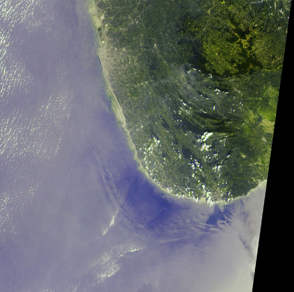 Deep Ocean Tsunami Waves off the Sri Lankan Coast